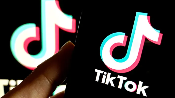 TikTok for Artists