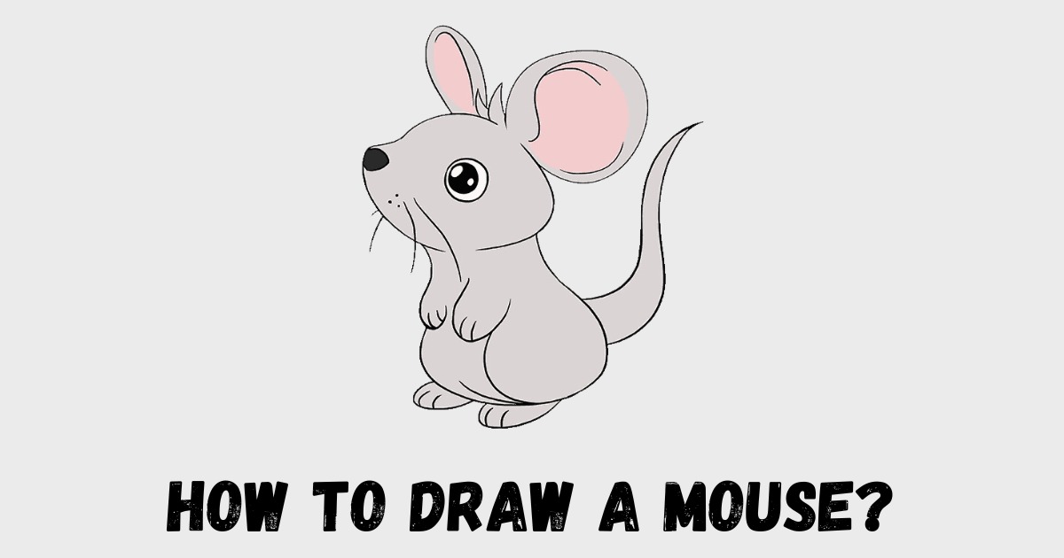 How to Draw a Mouse?