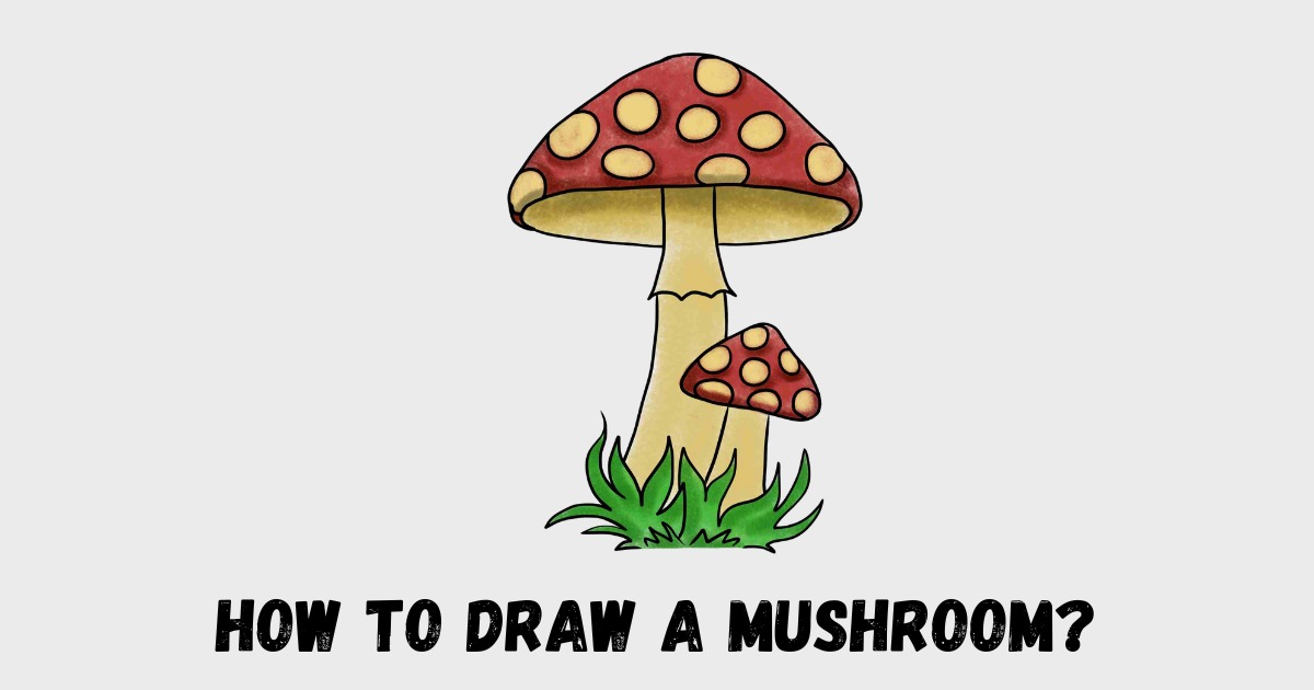 How to Draw a Mushroom?